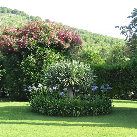 Arenosu Comfort Country Resort-3